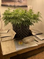 IMG_3443.jpeg