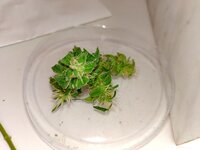 IMG_20260317_083930.jpg