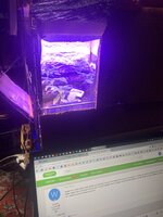 IMG_7248.jpeg