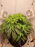IMG_1188.jpeg