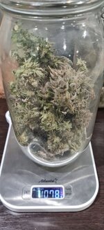 IMG_1215.jpeg