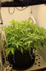 IMG_1265.jpeg