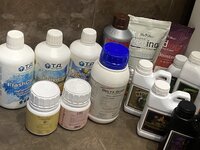 IMG_0916.jpeg