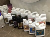 IMG_0915.jpeg