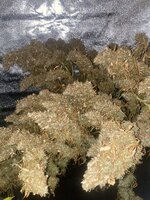 IMG_0675.jpeg