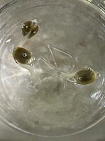IMG_0797.jpeg