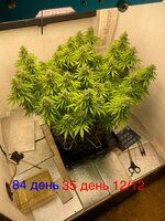 IMG_3698.jpeg