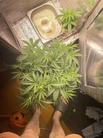 IMG_3749.jpeg
