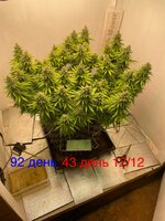 IMG_3820.jpeg