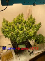IMG_3876.jpeg