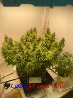 IMG_3912.jpeg