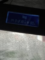 IMG_6302.jpeg