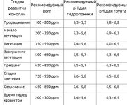 IMG_8419.jpeg