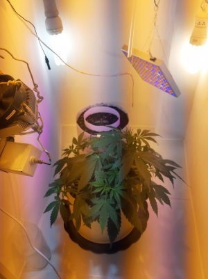 20220615_094739.jpg