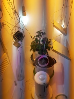 20220615_174254.jpg
