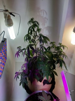 20220615_225049.jpg