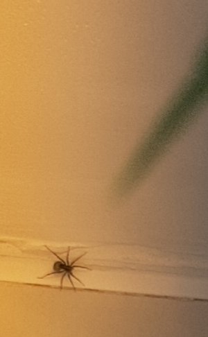 20220617_204214.jpg