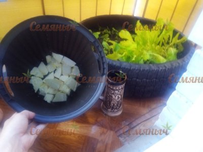 37-wm-81935.09999999878_watermarked.jpg
