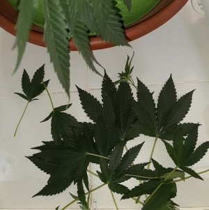 20220625_101721.jpg