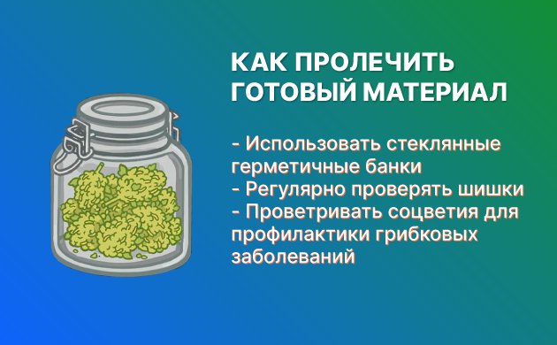 Prolechka-konopli-bez-pleseni.jpg