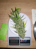Шкаф с печеньем