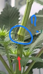 1000134569.jpg