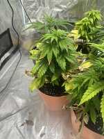 IMG_3898.jpeg