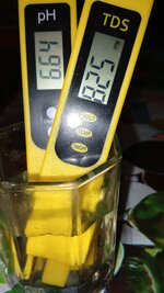 1000135005.jpg