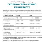 1000024900.jpg