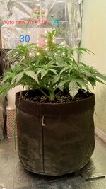 1000135187.jpg
