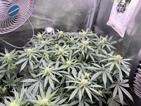 IMG_0594.jpeg