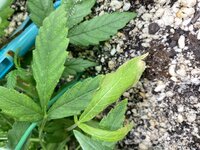 IMG_4859.jpeg