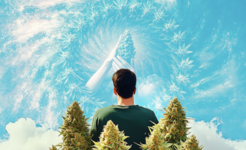 1793264934300.png