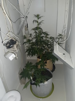 20220703_165022.jpg