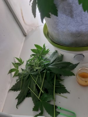 20220705_074757.jpg