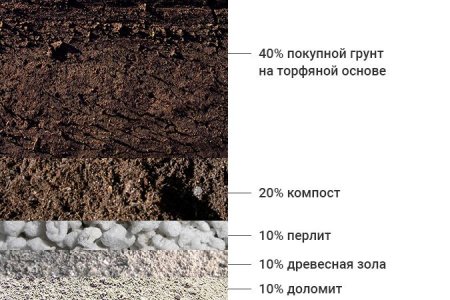 Рецепт почвосмеси для выращивания конопли