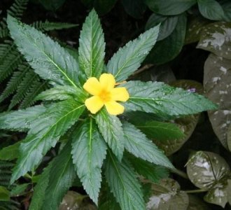 фото3.jpg