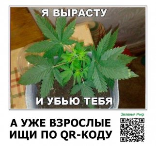 06bb0aabfbd71e2c792feee859de27d3.jpg