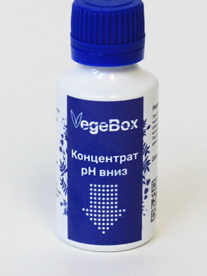 загруженное (6).png