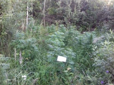 20160522_074419.jpg