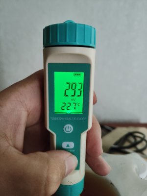 IMG20220724145530.jpg