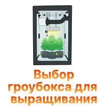 32-Vybor grouboksa dlya vyrashchivaniya-100.jpg