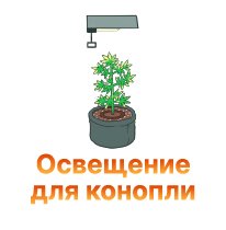 37-Osveshchenie dlya konopli-100.jpg