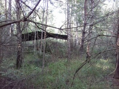 20160613_052601.jpg