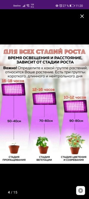 Screenshot_20220825_112059_com.wildberries.ru.jpg