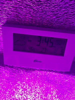 20220915_155614.jpg