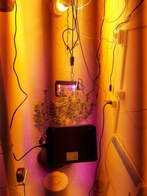 20220920_094049.jpg 20220920_094049.jpg