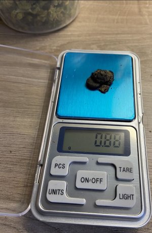 31.07.22 7.jpeg