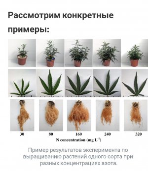 S20922-221528(1).jpg