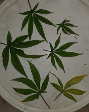 20221010_220530.jpg
